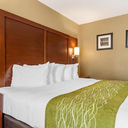 Comfort Inn Msp Airport - Mall Of America Bloomington Exterior foto
