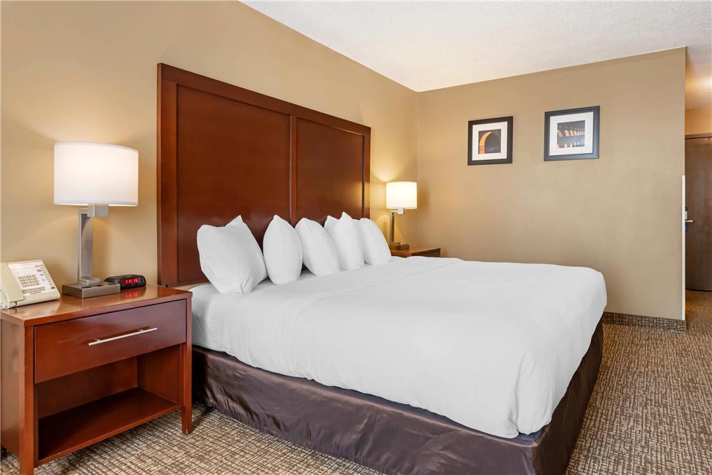 Comfort Inn Msp Airport - Mall Of America Bloomington Quarto foto