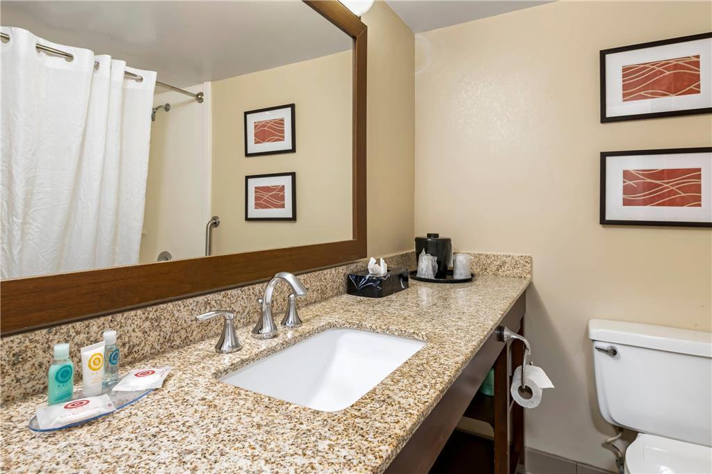 Comfort Inn Msp Airport - Mall Of America Bloomington Quarto foto